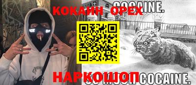 крисы Кунгур