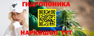 сатива Кулебаки