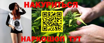 крисы Кунгур