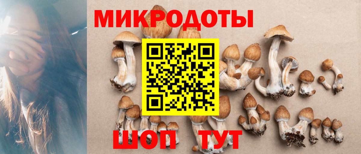 Кольчугино  Псилоцибиновые грибы GOLDEN TEACHER  Вход с VPN  закладка  Галлюциногенные грибы Psilocybine cubensis 